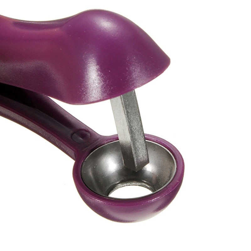 Purple Olive / Cherry Pitter Tool