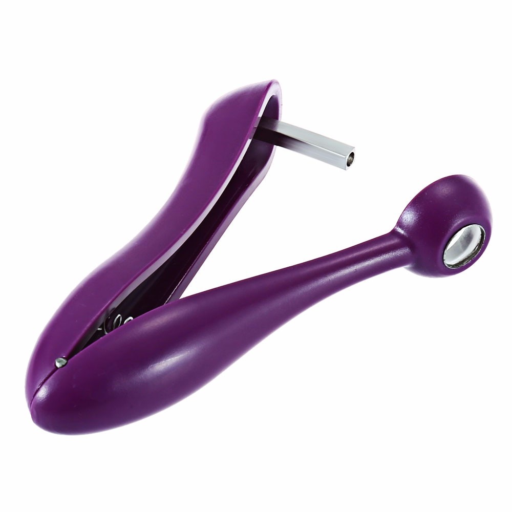Purple Olive / Cherry Pitter Tool