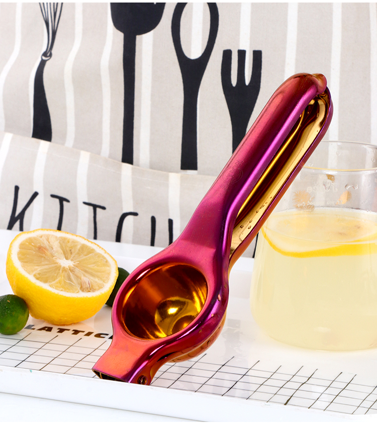 Stainless Steel Rainbow Coloured Squeezer