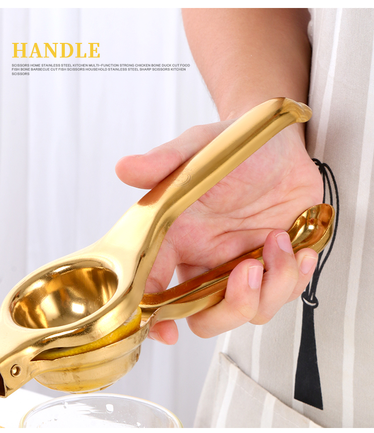 Stainless Steel Rainbow Coloured Squeezer