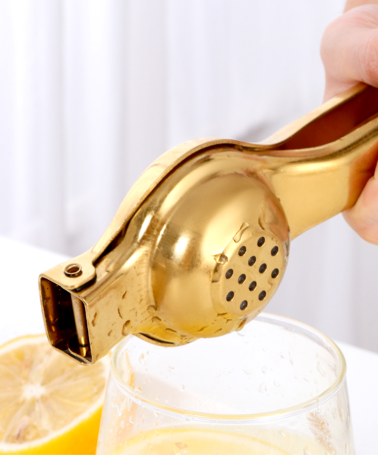 Stainless Steel Rainbow Coloured Squeezer