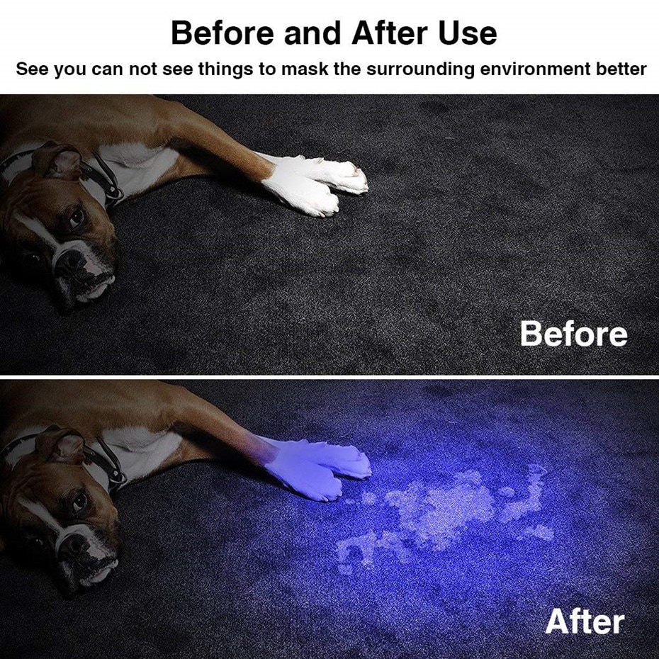 Travel LED UV Flashlight