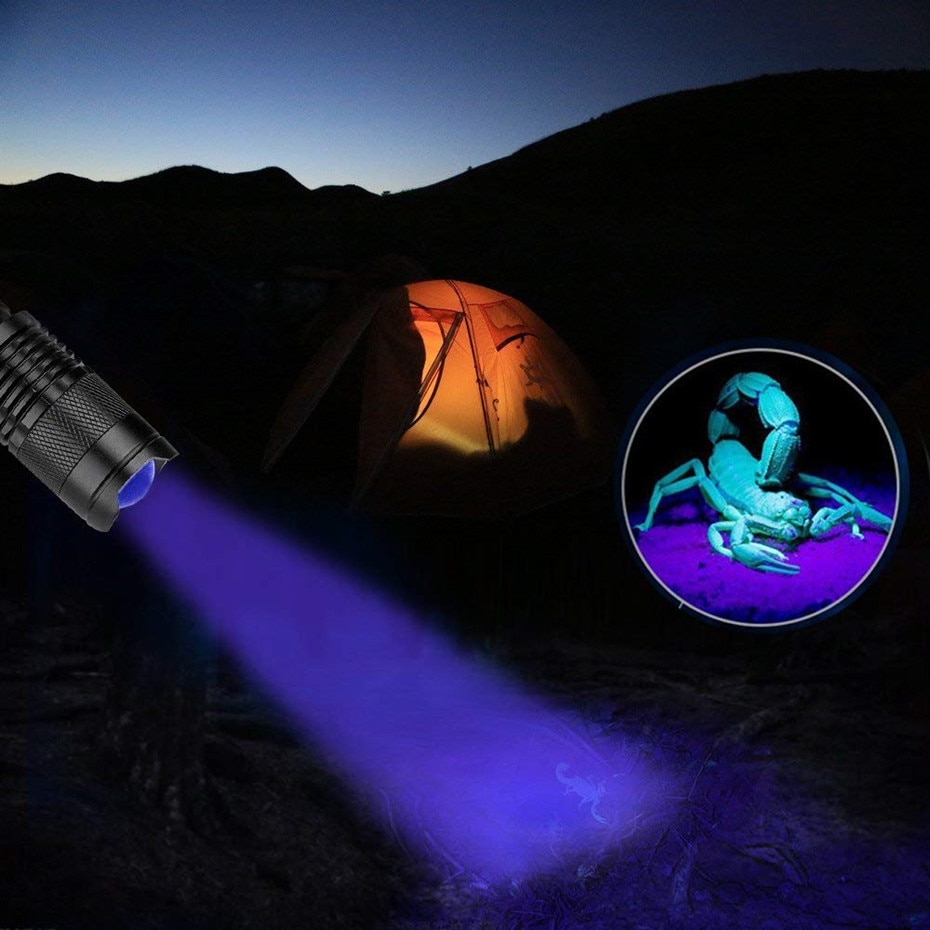 Travel LED UV Flashlight