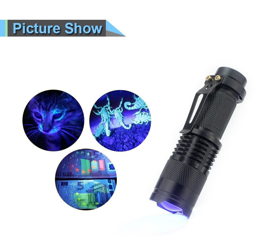 Travel LED UV Flashlight