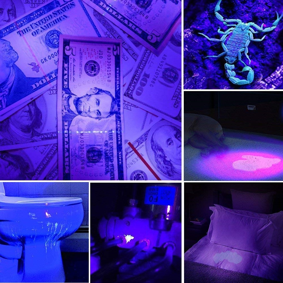 Travel LED UV Flashlight
